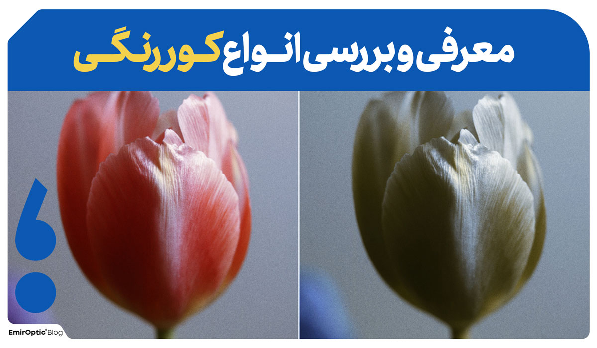 انواع کوررنگی