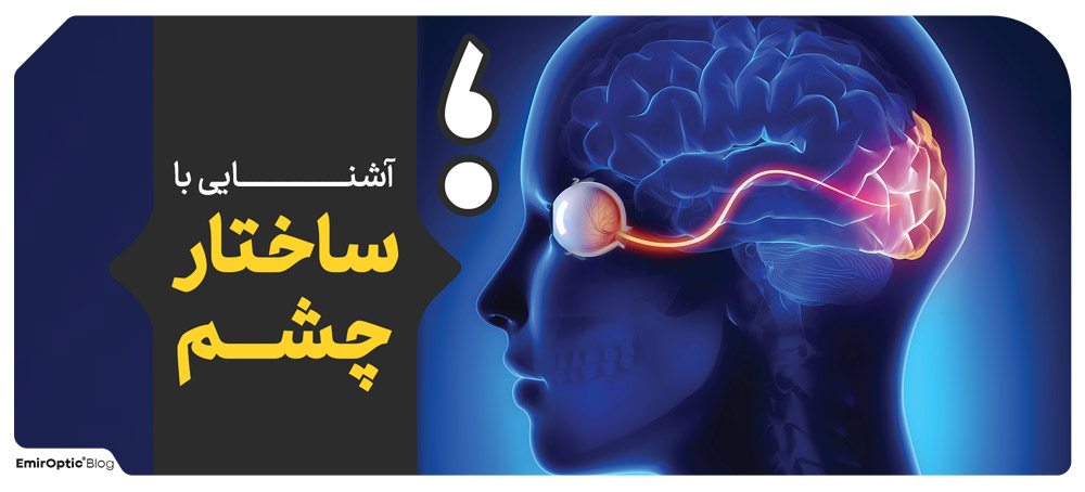 آشنایی با ساختار چشم