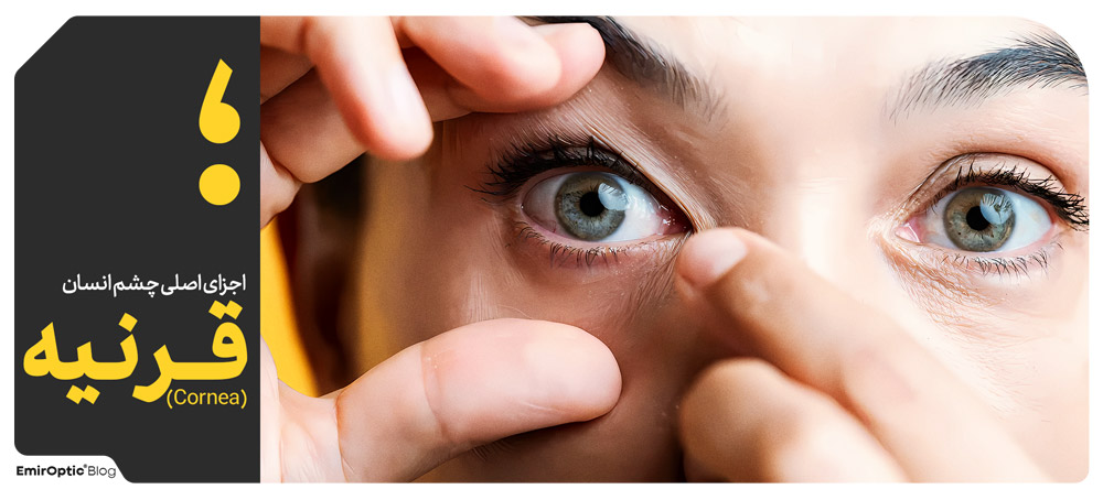 قرنیه (Cornea)