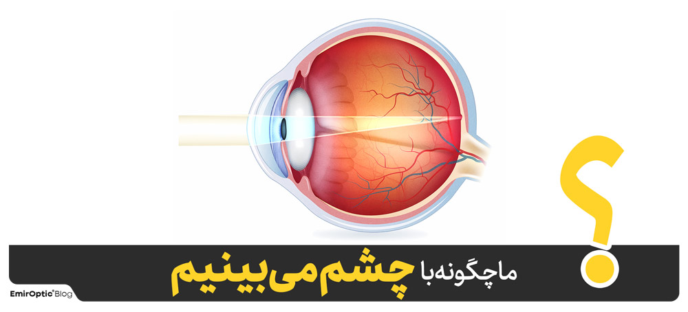 ما چگونه با چشم می‌بینیم؟