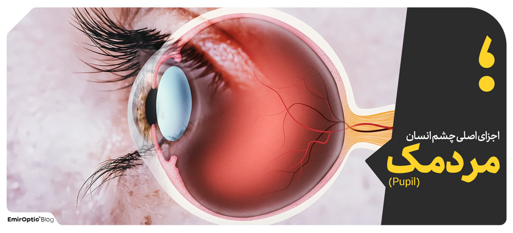 مردمک (Pupil)