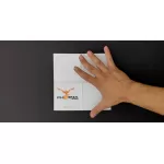 دستمال Phoenix متوسط