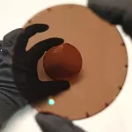 عدسی پلاریزه قهوه‌ای Polarized Brown