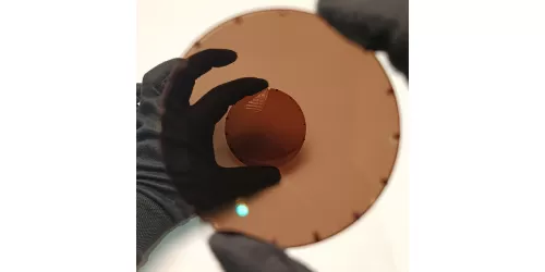 عدسی پلاریزه قهوه‌ای Polarized Brown