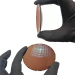 عدسی پلاریزه قهوه‌ای Polarized Brown