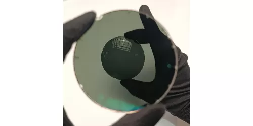 عدسی پلاریزه سبز Polarized Green