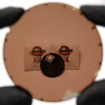 عدسی پلاریزه قهوه‌ای Hassel Polarized Brown