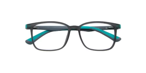 NTS - HK99004