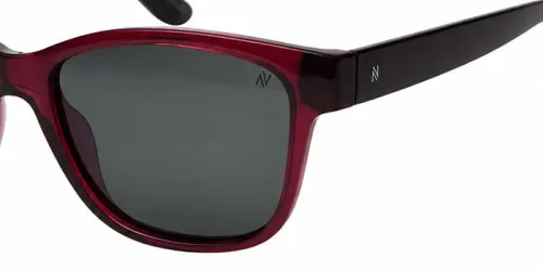 عینک آفتابی NTS - 9010