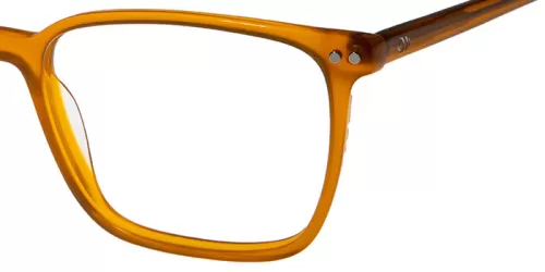 عینک طبی Result - FG1033