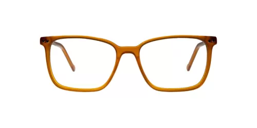 عینک طبی Result - FG1033