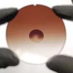 عدسی آفتابی قهوه‌ای تک رنگ Brown