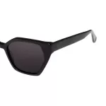 عینک آفتابی NTS - F 2611