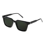 عینک آفتابی NTS - FH 2266