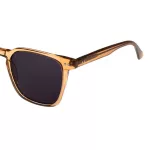 عینک آفتابی NTS - HC-16062