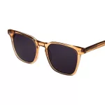 عینک آفتابی NTS - HC-16062