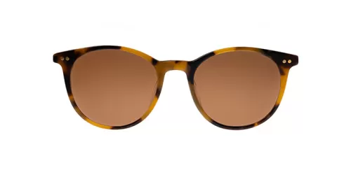 عینک آفتابی Ted Baker - AT-1003