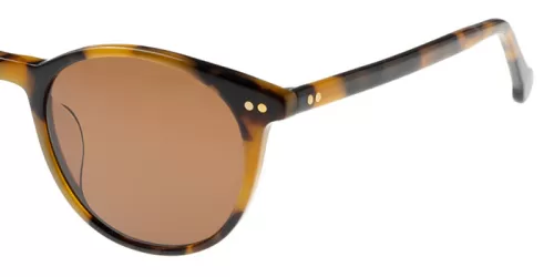 عینک آفتابی Ted Baker - AT-1003
