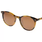 عینک آفتابی Ted Baker - AT-1003