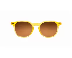 عینک آفتابی Ted Baker - AT 1004 زرد
