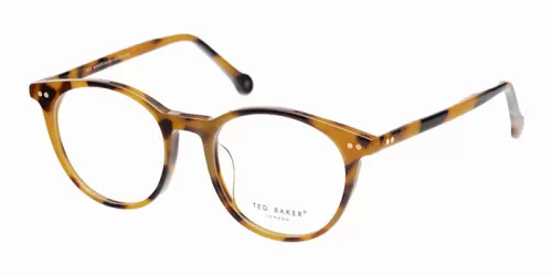 عینک طبی Ted Baker - AT-1003