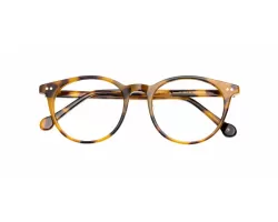 عینک طبی Ted Baker - 1003 هاوانا